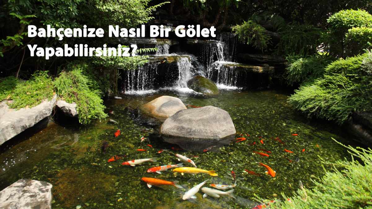 Bahçenize Nasıl Bir Gölet Yapabilirsiniz ?