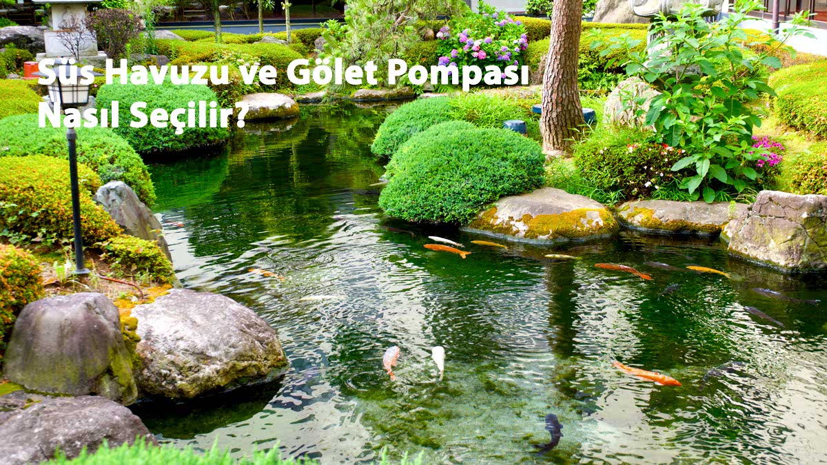 Süs Havuzu ve Gölet Pompası Nasıl Seçilir?